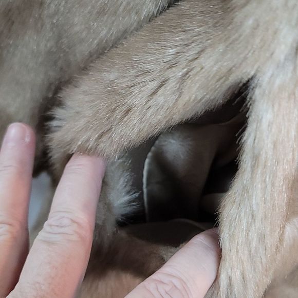 Beautiful Vintage Woman's Faux Fur Waist Length Jacket - Picture 6 of 12